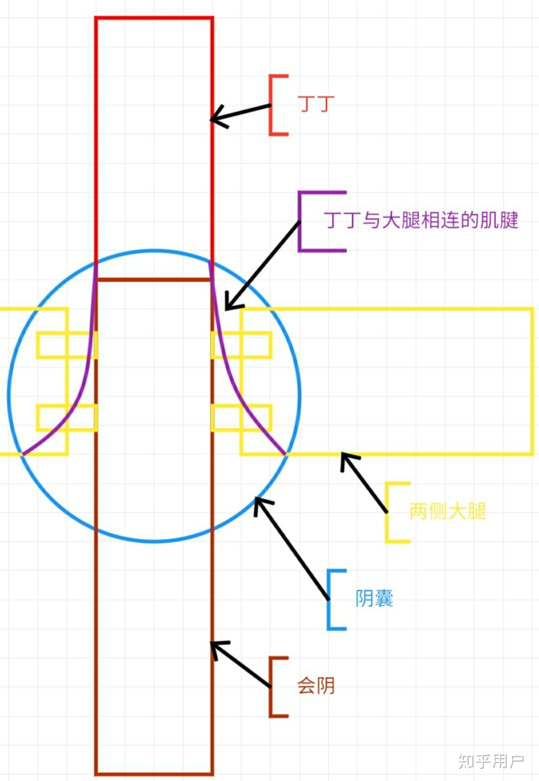 入消吧此图入腹图片