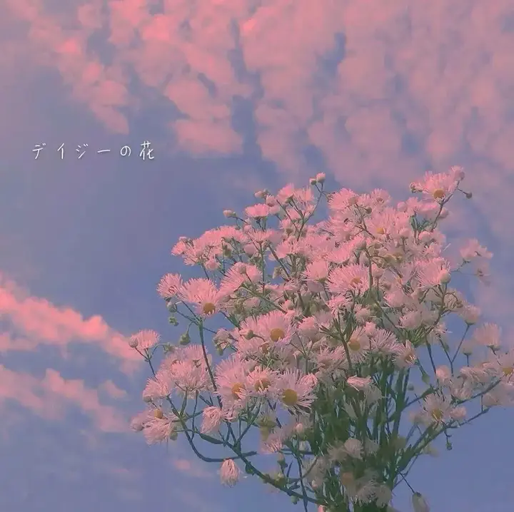 🍁如何做一个真正温柔的人？ - 知乎