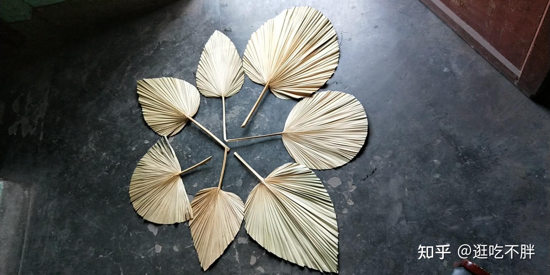 蒲扇是用什么做的,是怎么做出来的?