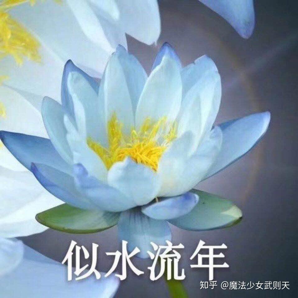 爸爸对我的网名头像发起了进攻家长中意的到底是什么样的