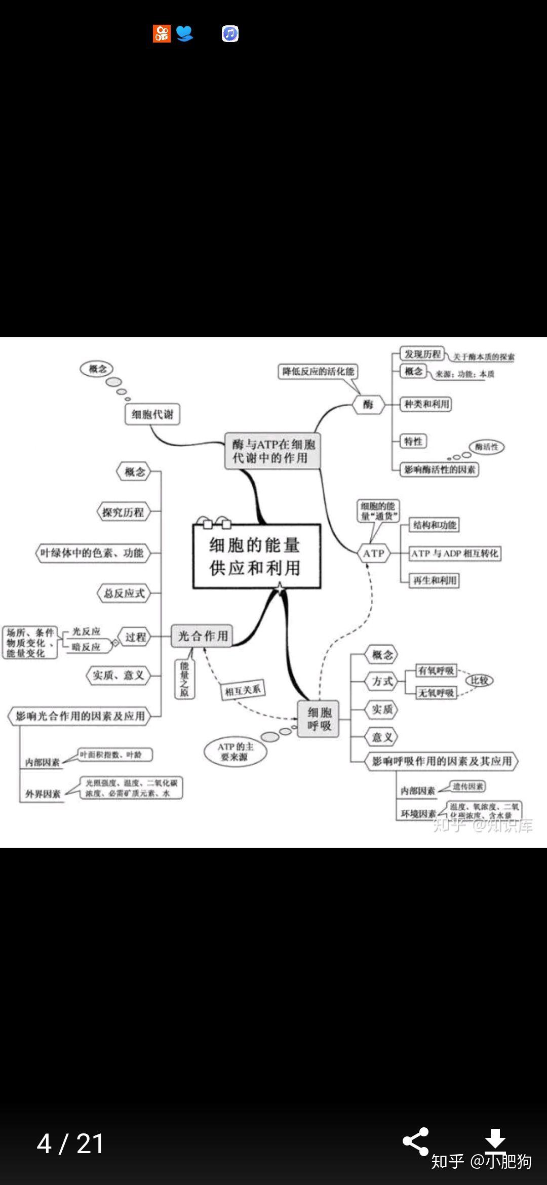 细胞代谢思维导图