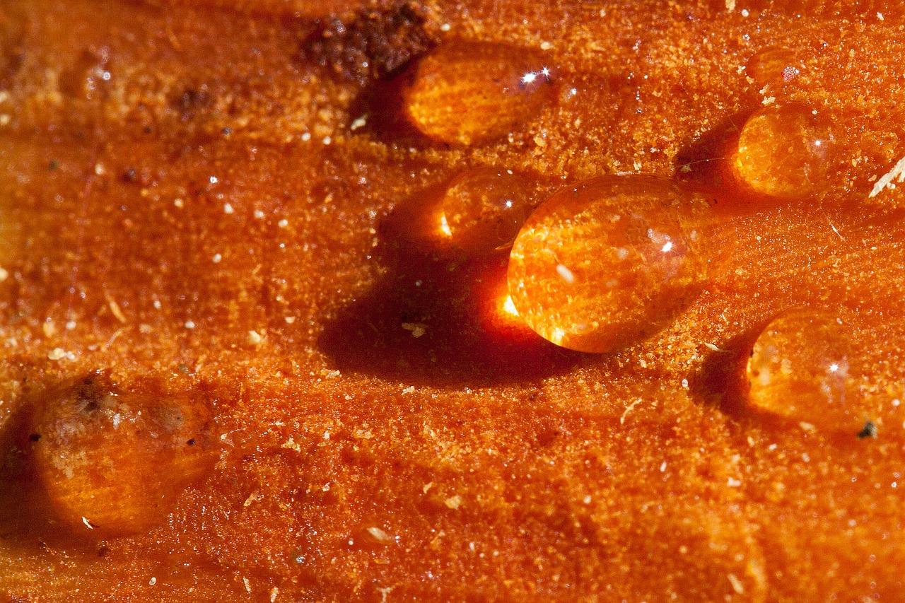 5. 防水密封树脂