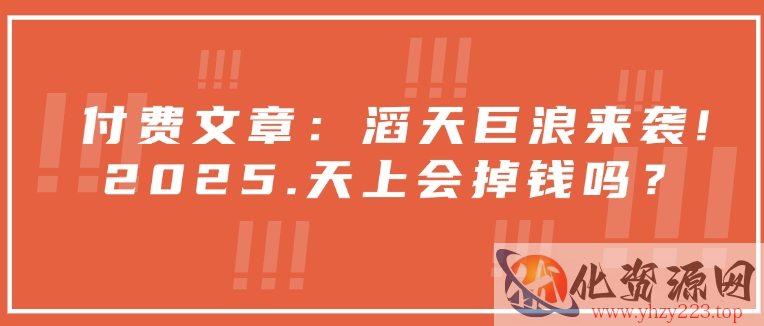 付费文章：滔天巨浪来袭！2025天上会掉钱吗？