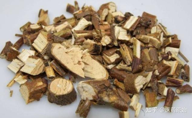 带你识别桃枝 - 知乎