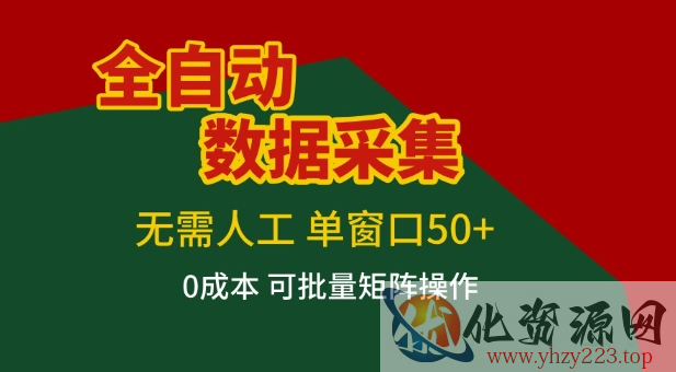 全自动数据采集项目，无需人工，单窗口可达50+收益，操作简单无难度，一个人也能轻松实现矩阵【揭秘】