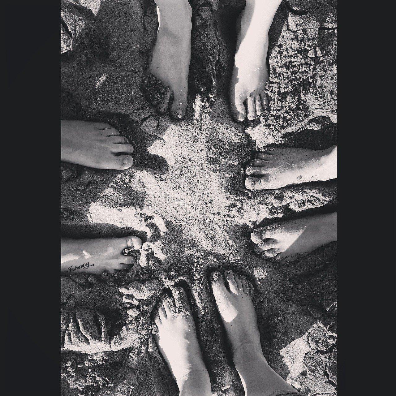 3. 地毯清洗步骤