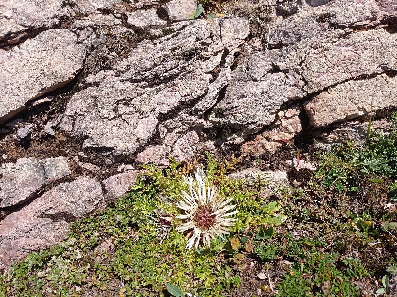 3. 梁宽计算方法