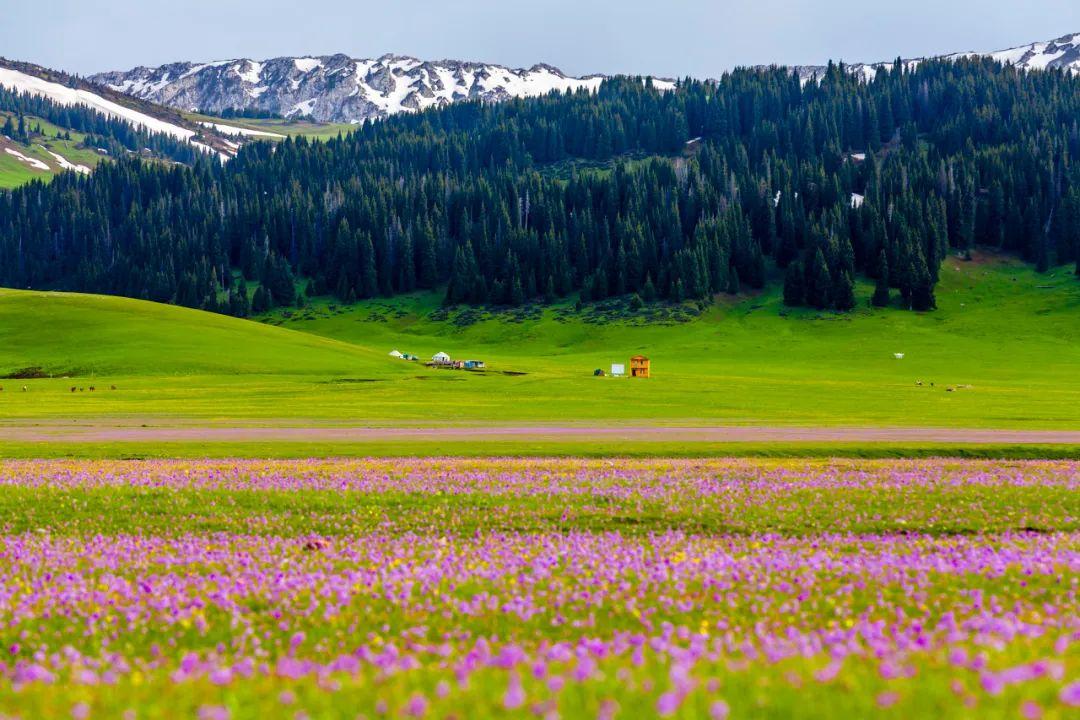 6 月份适合旅游的地点有哪些?