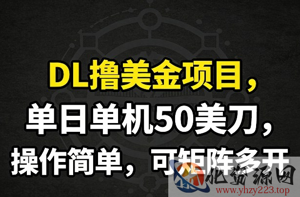 DL撸美金项目，单日单机50美刀，操作简单，可矩阵多开