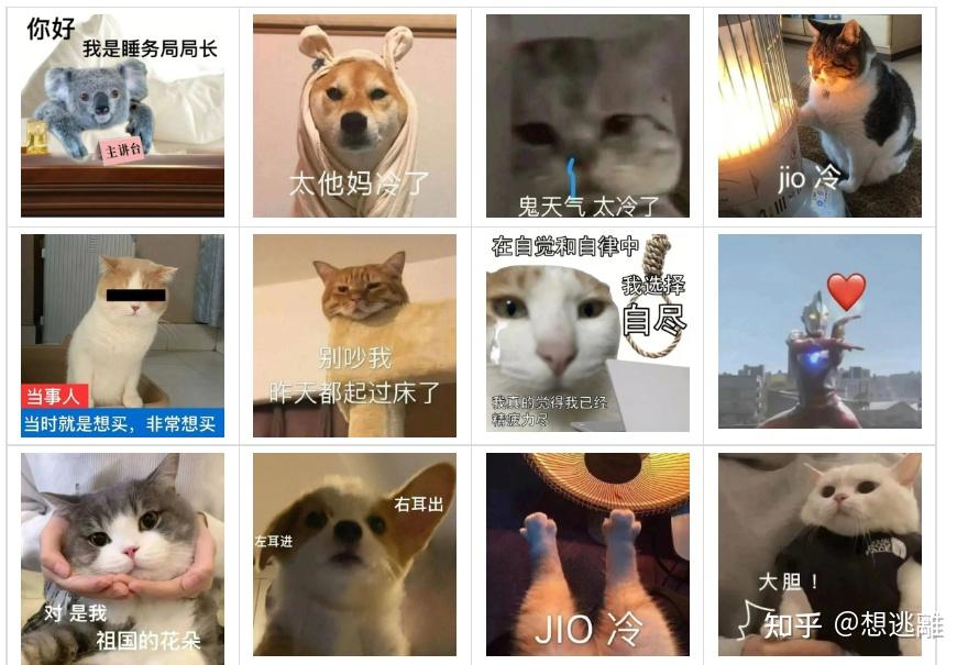 你有哪些超级搞笑的表情包? - 知乎