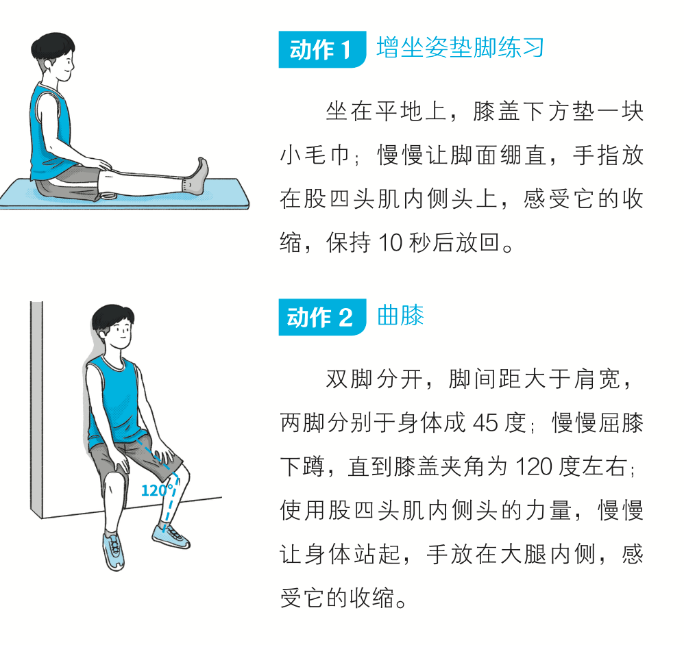 膝关节的屈伸运动图解图片