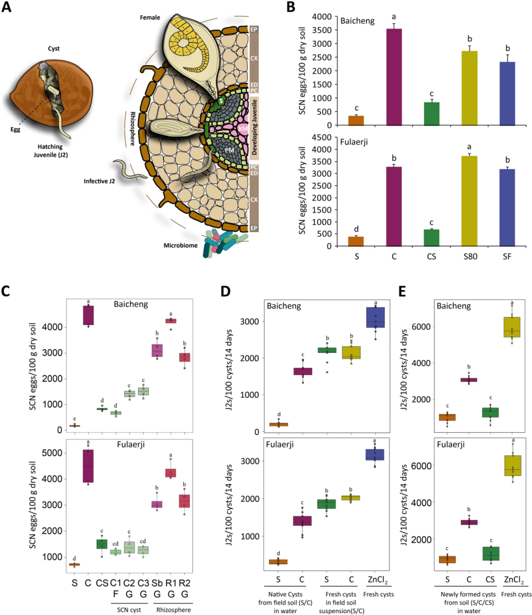 Microbiome | 微生物群稳态介导的大豆单作冗余性抑制大豆胞囊线虫 - 知乎