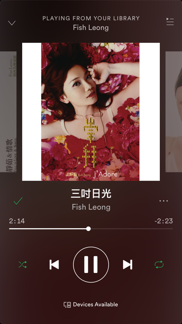 梁静茹唱的《三寸日光》里所说的第三个愿望可能是什么呢？个人觉得最后