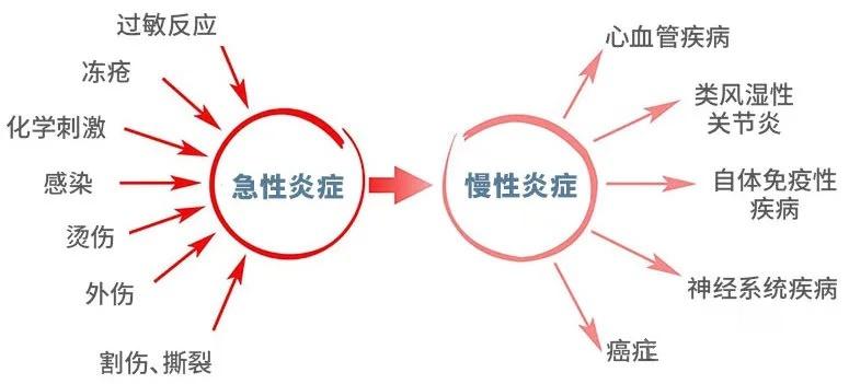 什么是炎症?炎症会造成哪些危害?如何应对慢性炎症? - 知乎