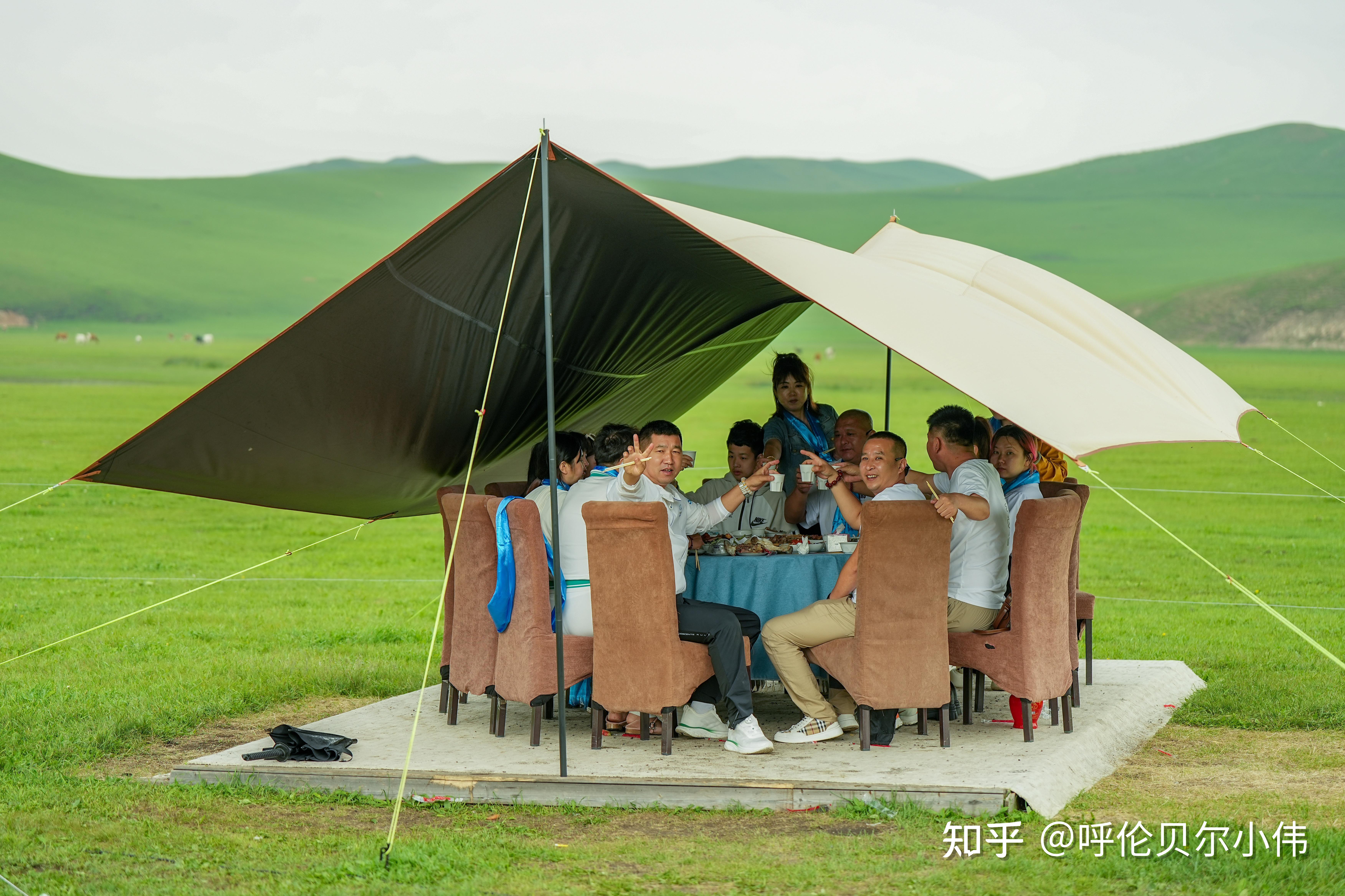呼伦贝尔6天5晚游玩攻略|最佳出行方式+完整环线+避坑干货全整理 - 知乎