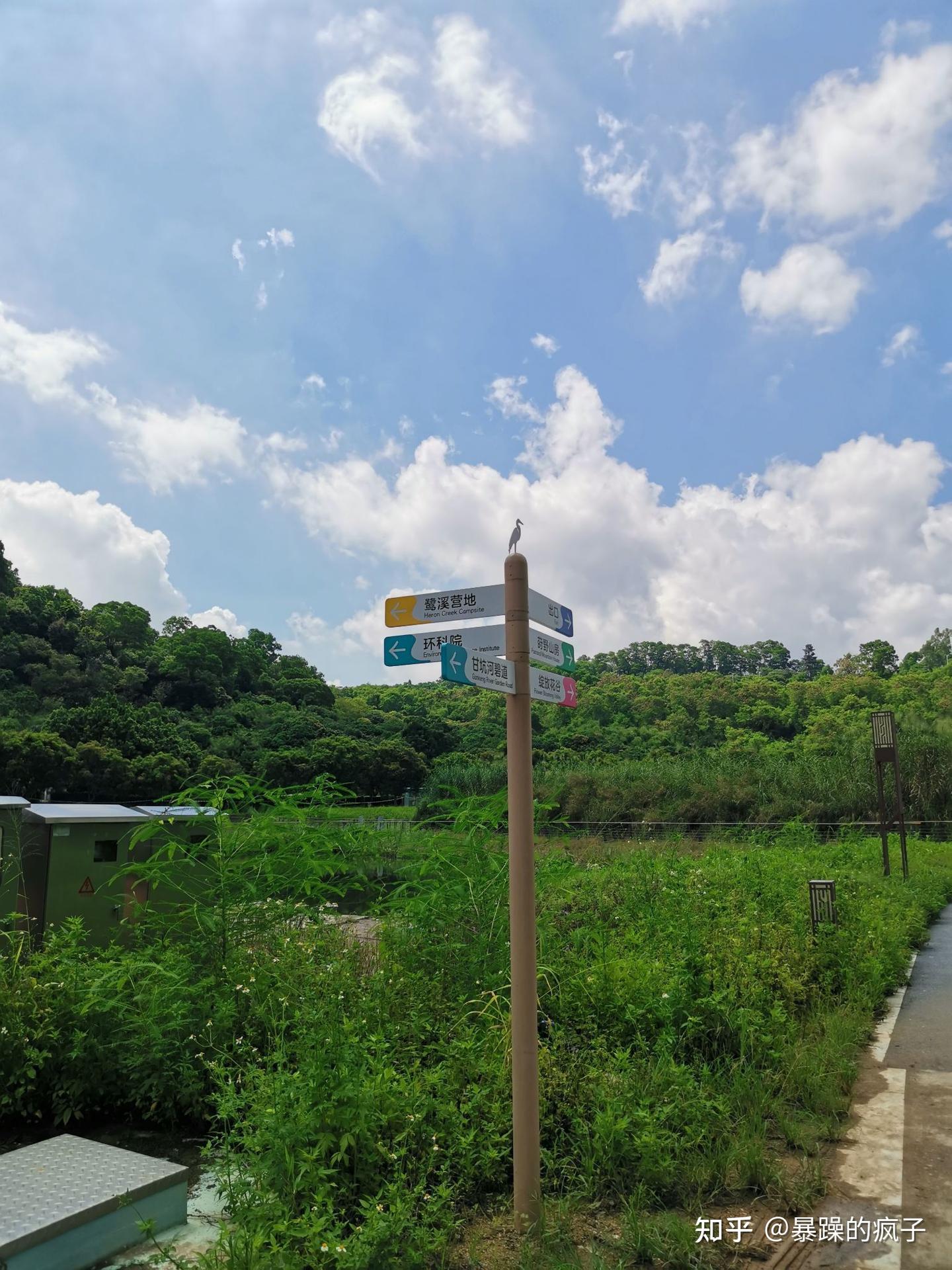 深圳周末一个人去哪玩—平湖生态园 - 知乎