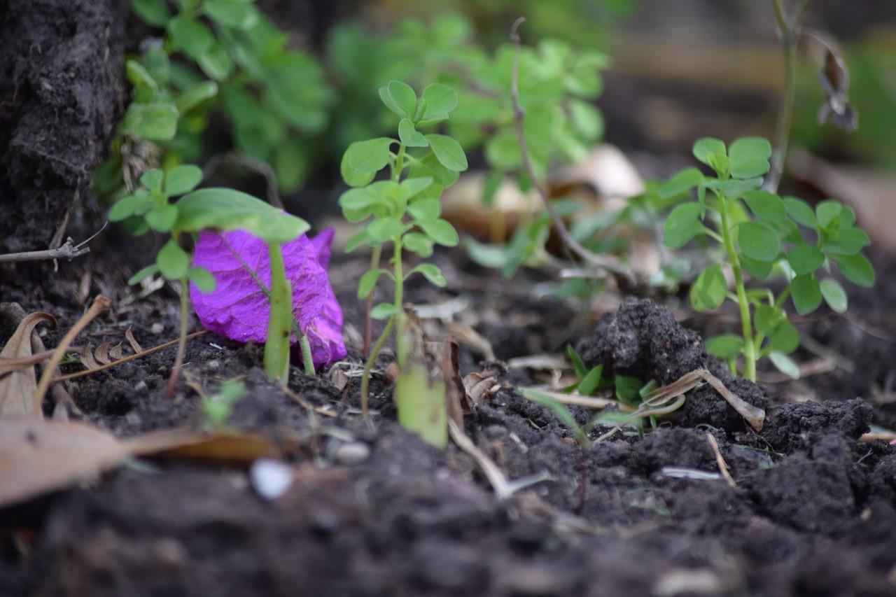 3. 喷浆机市场价