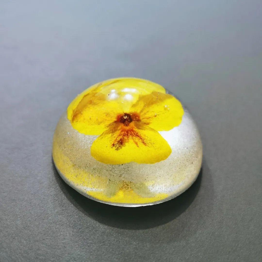 春天封印术！滴胶植物标本制作教程 - 知乎