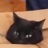 番木