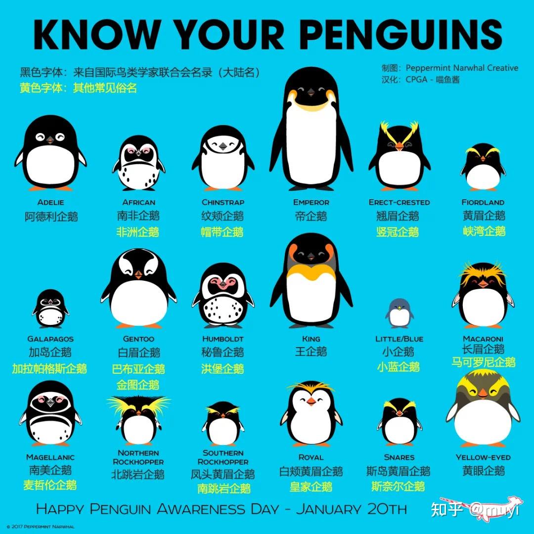 在南极有多少种企鹅?