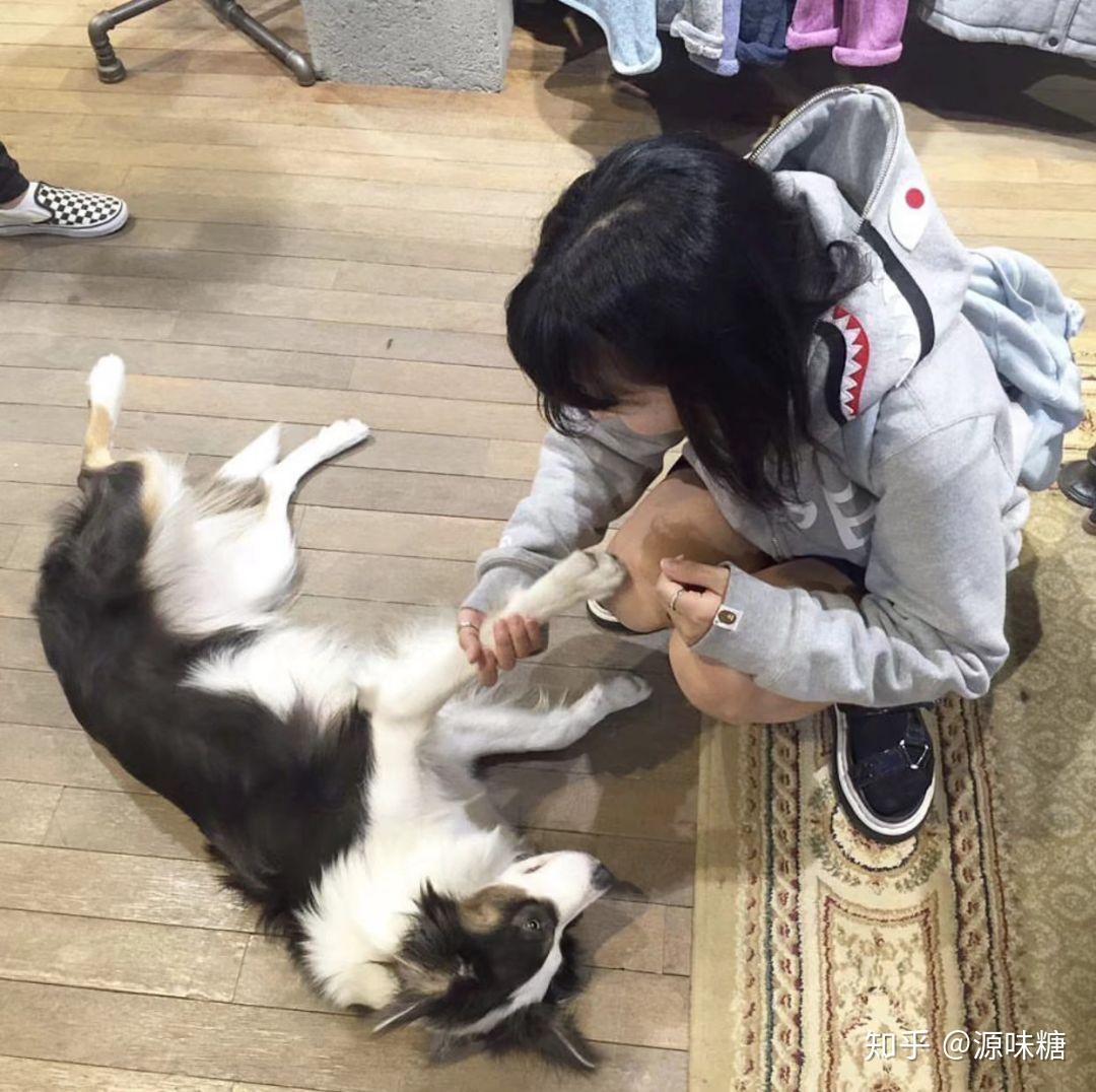 有没有女孩子抱着狗狗的头像,越多越好? - 知乎
