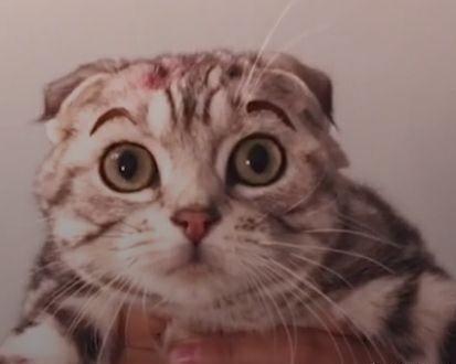 看你笑点高不高