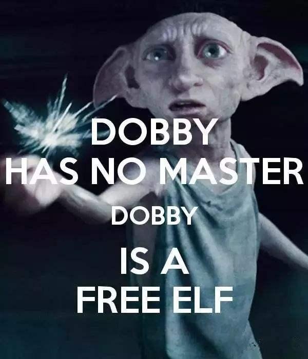 如何评价哈利波特里面的小精灵多比