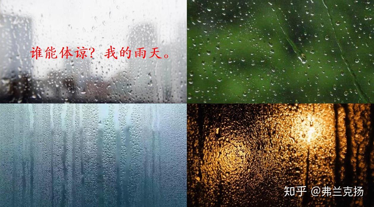 包含下雨天你喜欢干什么？的词条
