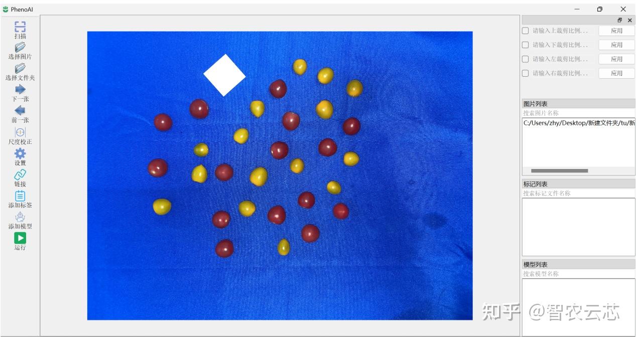 教程】如何高效提取番茄果实的形态表型特征？（果纵径、果横径等） - 知乎