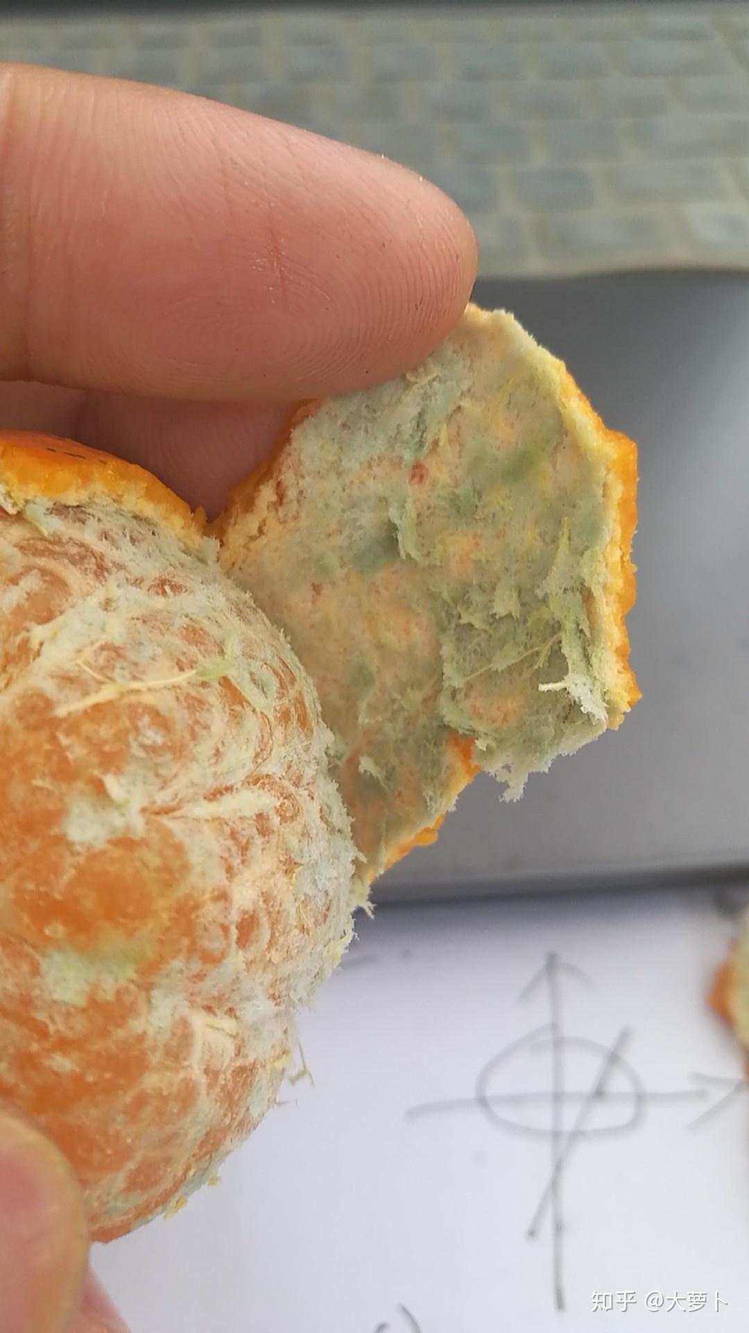 橘子剥开皮里面发蓝绿图片