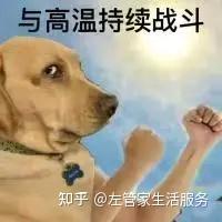 出门像蒸桑拿?这些“救命神器”让你体感瞬间降5℃!