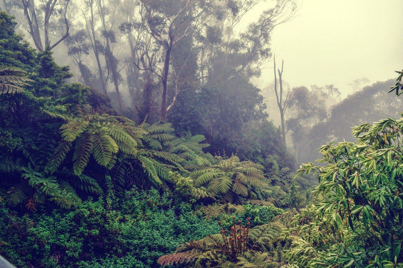 4. 房价走势分析