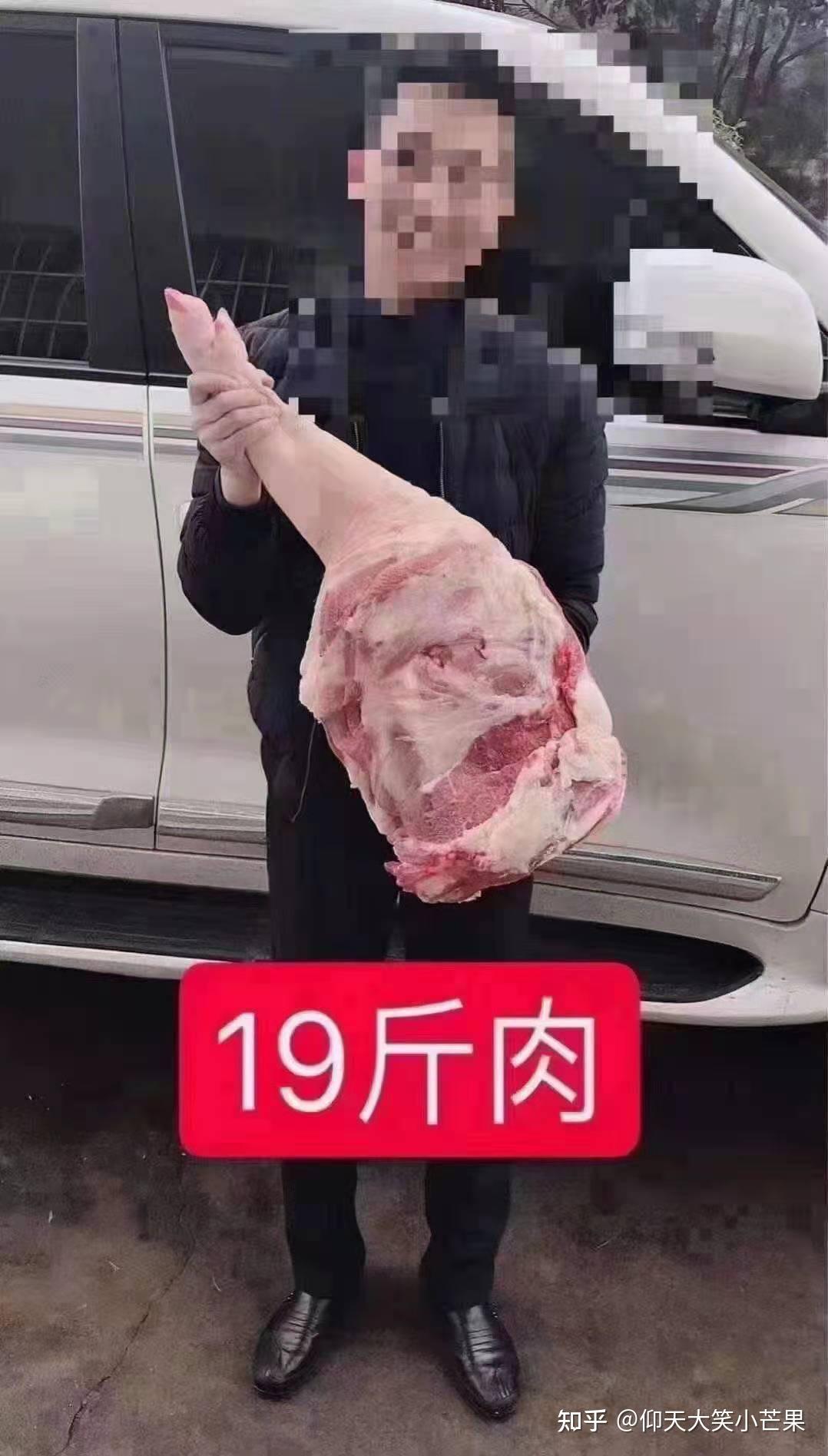 十斤肉是多大一块?