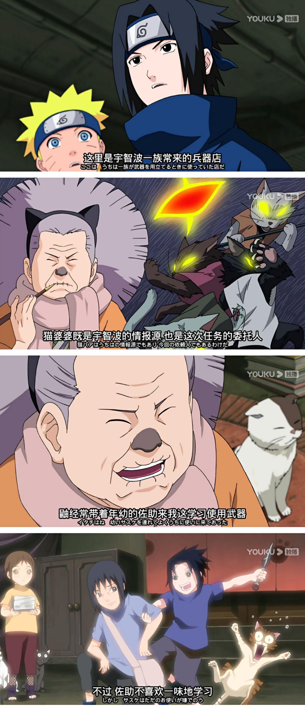 忍猫是通灵兽吗猫婆婆又是什么来头貌似和宇智波家关系很好还说是看着