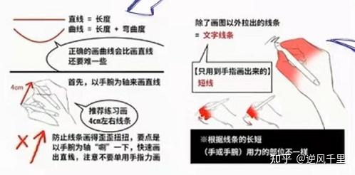 学插画丨零基础、初级基础如何学插画?新手学插画建议!! 这篇帮你理清思路!