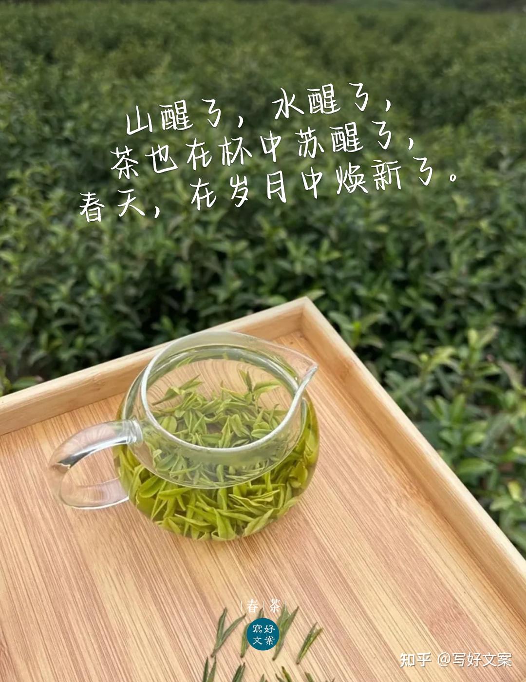 在朋友圈发茶,配什么文案好?