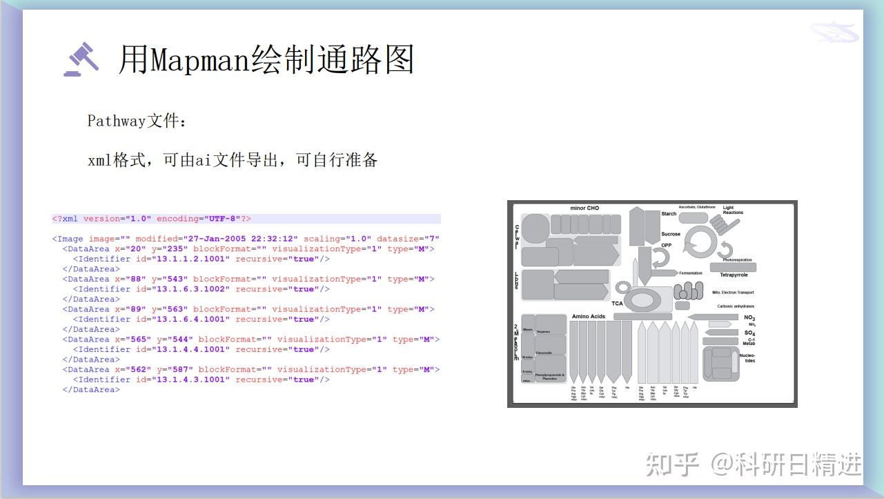 Mapman Tor 画通路图的神器 - Mapman的使用 - 知乎