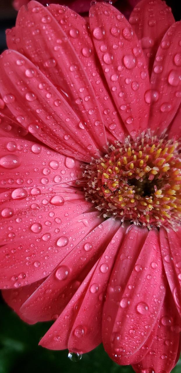 红泥湾多层户型楼层