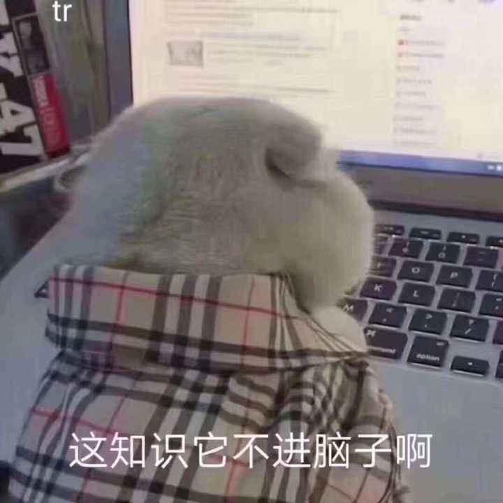 为什么大家都在说intp是猫？ - 知乎