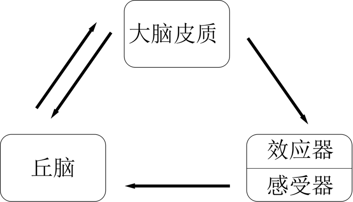 问心 对于意识的一种解释 第一至三章 知乎 问心 对于意识的一种解释 第一至三章 知乎