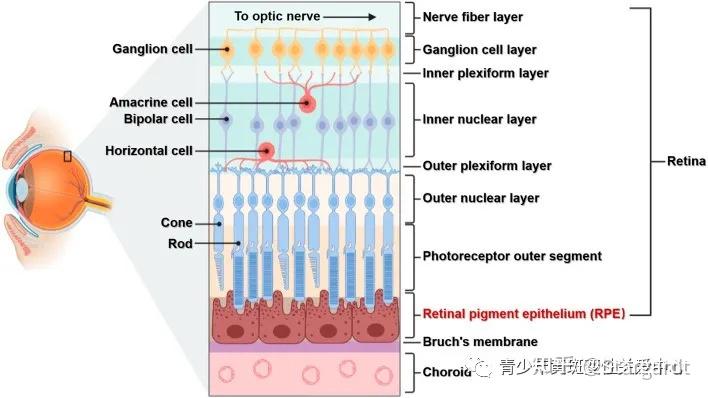 Prp Injections Near Me: 7 Proven Ways to Find the Best Results Quickly
