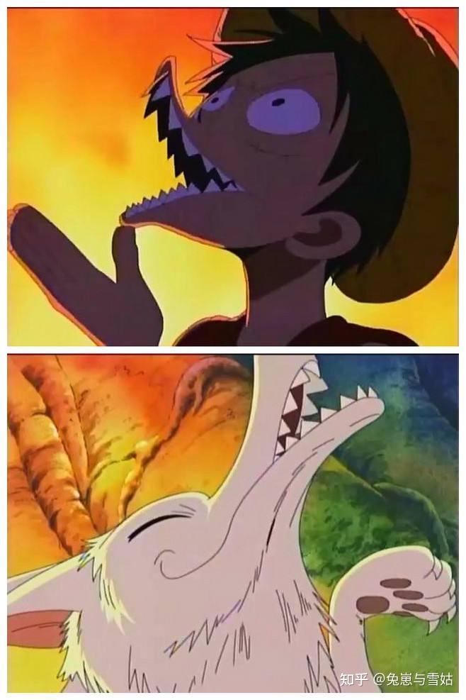 《海贼王》如果路飞是乔伊波伊,那么究竟特殊的是橡胶果实还是草帽?