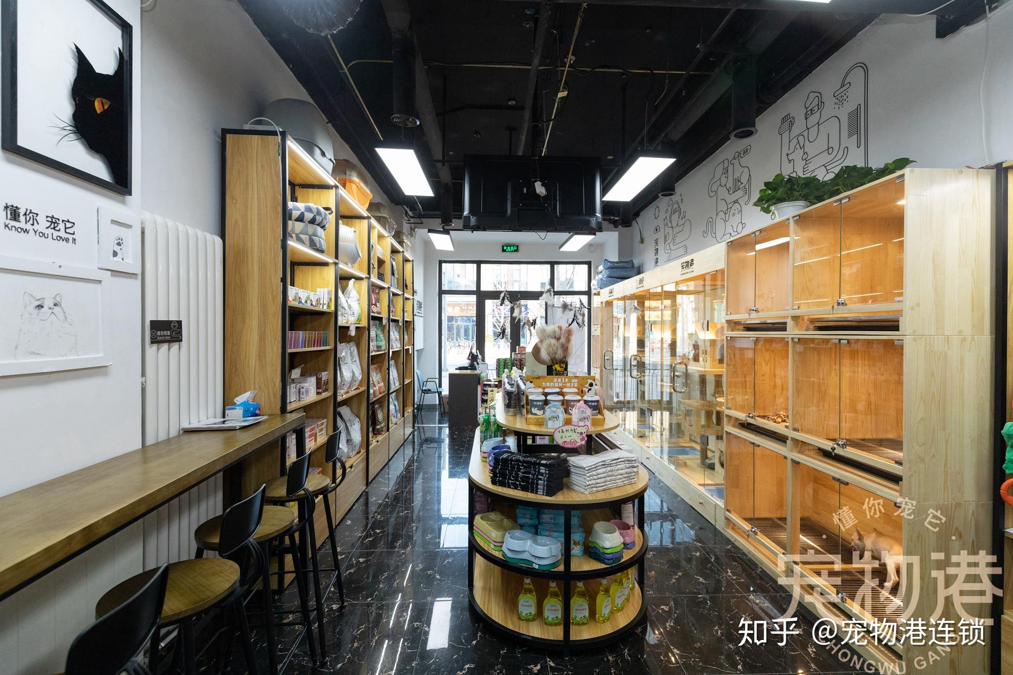怎么开宠物店