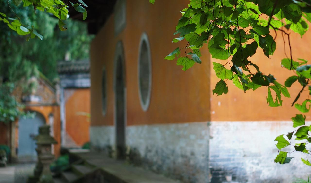 店铺如何摆放植物