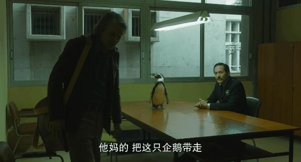 《我的企鹅老师》宠物当“老师”很离谱?不,巨好看!