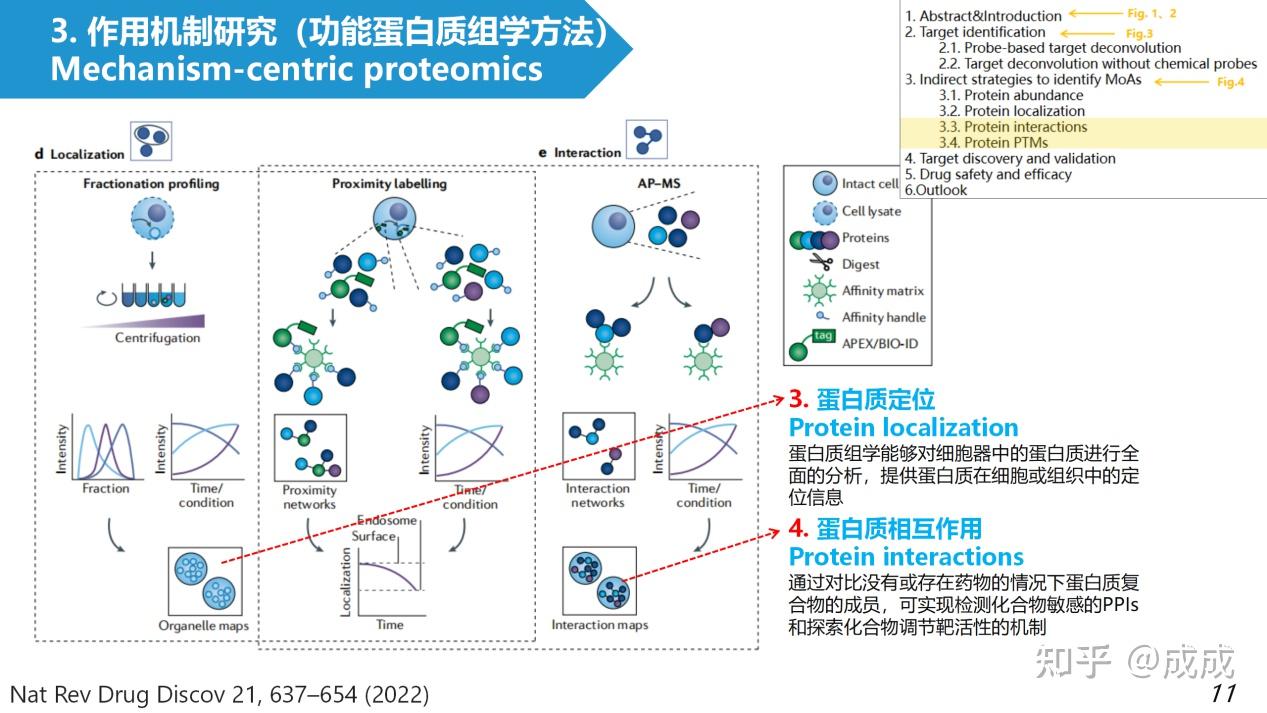 文献解读| 基于质谱的蛋白质组学在药物发现中的新兴作用The emerging role of mass spectrometry-based ...