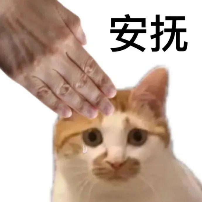 安慰别人的表情包 - 知乎