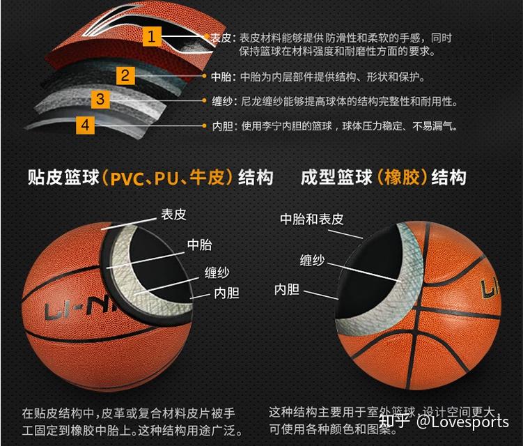 篮球结构图