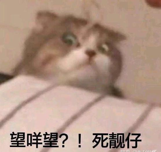 你的备忘录里摘抄了哪些努力奋斗的句子?