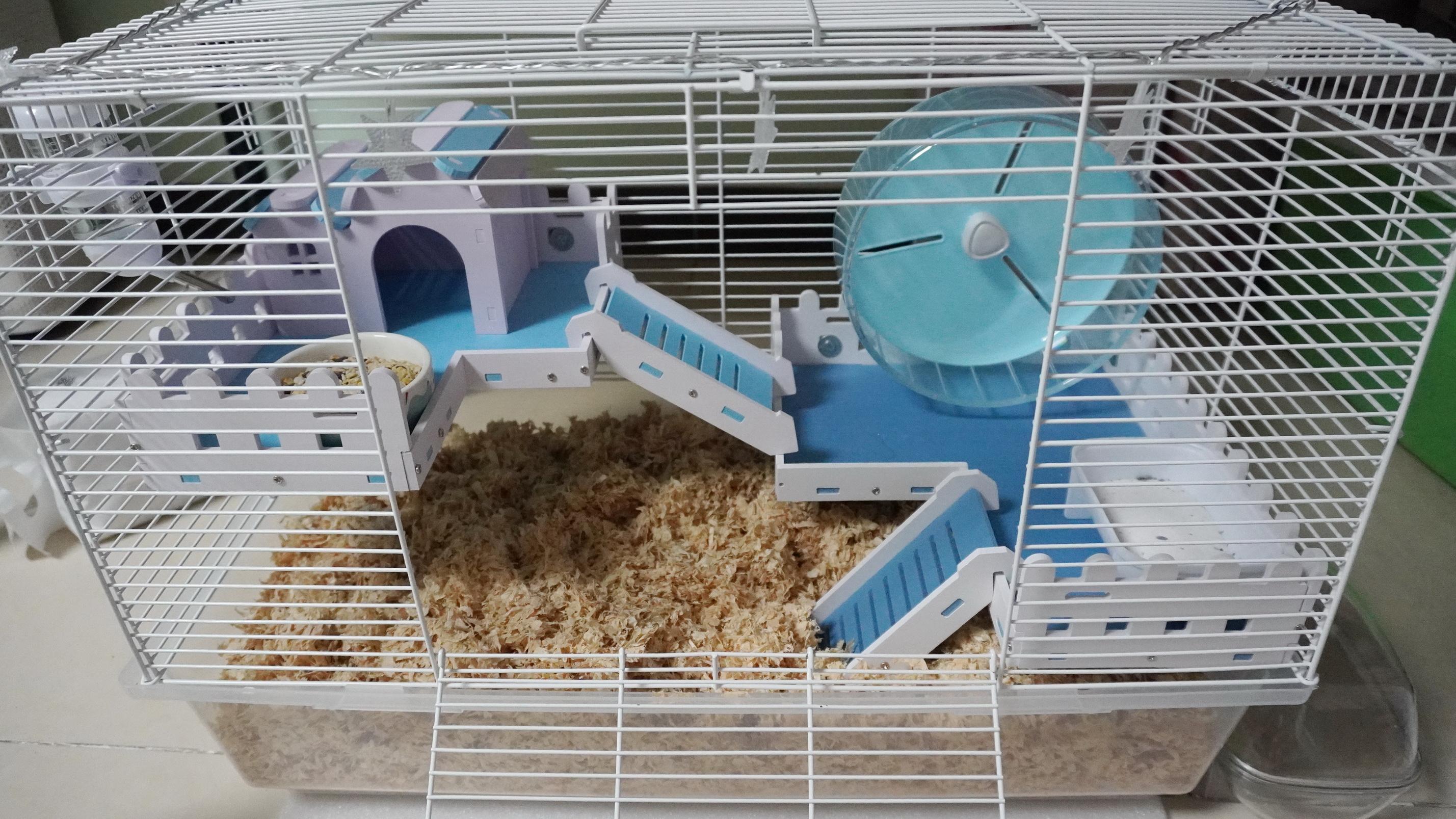 你给宠物"仓鼠"买过的最失败的东西是什么? - 知乎